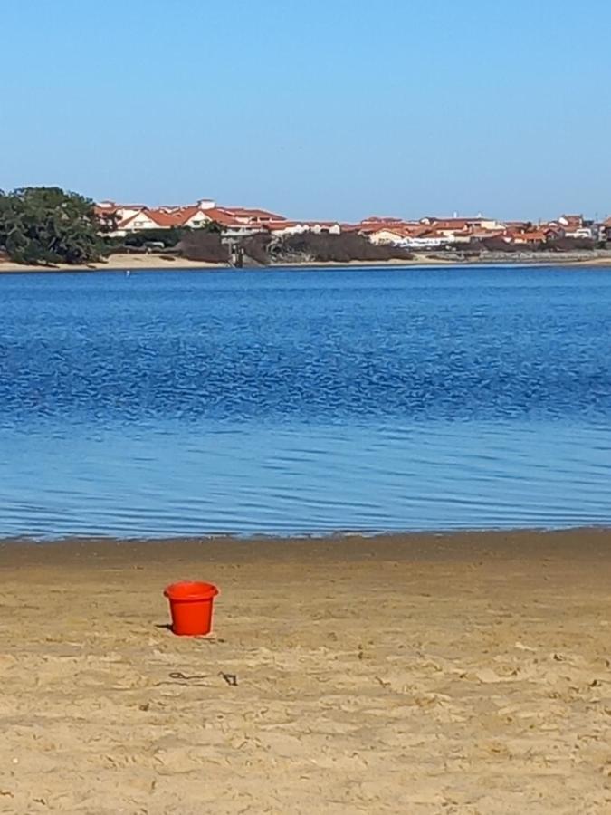 Villas Du Lac Appart 4 A 6 Personnes 苏斯通 外观 照片